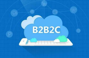 惠云联盟开发b2b2c多用户商城系统的好处在哪里